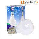 t60 opal weiß 100w glühbirne