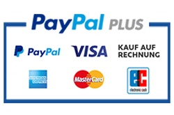 Paypal Plus Logo