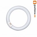 Osram Leuchtstofflampe T9 L 22W 827 C G10q Ringform...