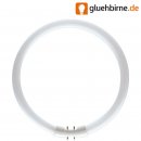 Philips Master Leuchtstofflampe TL5 22W 830 Circular Ring...