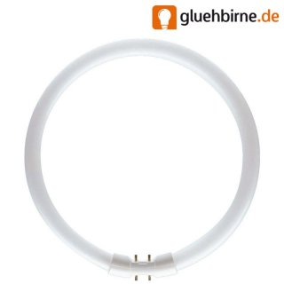 Philips Master Leuchtstofflampe TL5 22W 830 Circular Ring...