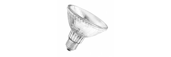 PAR30 Halogen Reflektor