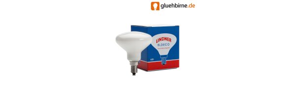 LED Spezialleuchtmittel