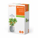 Ledvance LED Pflanzenlicht Indoor Garden Weiß 5W 235lm Neutralweiß 3400K Timer + USB-Anschluss