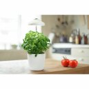 Ledvance LED Pflanzenlicht Indoor Garden Weiß 5W 235lm Neutralweiß 3400K Timer + USB-Anschluss