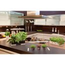 Ledvance LED Pflanzenlicht Indoor Garden Weiß 5W 235lm Neutralweiß 3400K Timer + USB-Anschluss