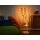 Osram LED Filament Big Oval Vintage 1906 Magnetic Lampe 3,4W = 25W E27 Gold 250lm Warmweiß 2700K