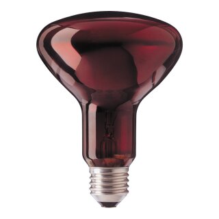 Philips Infraphil 100W R95 E27 Rot Healthcare 100W/R95E