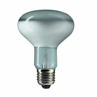 Philips Glühbirne R80 Reflektor 75W E27 matt 530lm Glühlampe warmweiß dimmbar 80°