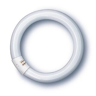 Radium Leuchtstofflampe Ringform T9 22W/840 G10q 1350lm Neutralweiß 4000K