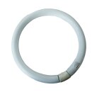 Sylvania Leuchtstofflampe T9 Ringröhre 32W/129 G10q...