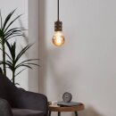 Eglo LED Spiral Filament G80 Globe 4W E27 Rauchglas 100lm extra warmweiß 2000K DIMMBAR