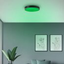 Brilliant LED Deckenleuchte Vadin schwarz Ø49cm 36W 3500lm RGBW 3000-6500K Dimmbar Nachtlicht & Timer Fernbedienung Amazon Google WiFi