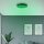Brilliant LED Deckenleuchte Vadin schwarz Ø49cm 36W 3500lm RGBW 3000-6500K Dimmbar Nachtlicht & Timer Fernbedienung Amazon Google WiFi