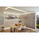 Paulmann LED Strip Function MaxLED 1000 Basisset Silber IP44 3m 35W 2640lm Tageslicht 6500K kaltweiß 230/24V