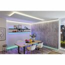 Paulmann LED Strip Function MaxLED 1000 Basisset Silber IP44 1,5m 18W 1320lm Tageslicht 6500K kaltweiß 230/24V