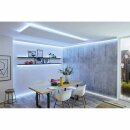 Paulmann LED Strip Function MaxLED 250 Basisset Silber IP44 3m 12W 750lm CCT 2700-6500K 230/24V ZigBee