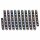 Paulmann LED Strip Function EntertainLED Dynamic Komplettset Weiß IP20 3m 5W RGB 230/12V