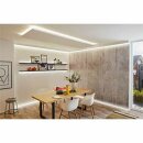 Paulmann LED Strip Function MaxLED 250 Erweiterungsset Silber IP44 1m 4W 230lm CCT 2700-6500K 230/24V