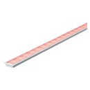 Paulmann Floor Bodeneinlaß Profil Function Floor Alu 1m für LED Strips