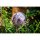 Gartenkugel Glas Globe Ø130mm Miracle Mosaic Schwarz