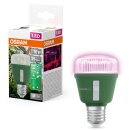 Osram LED Star Grow Lampe T60 10W E27 weiß/violett/blau klar 330lm Pflanzenlampe mit Schalter