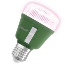 Osram LED Star Grow Lampe T60 10W E27 weiß/violett/blau klar 330lm Pflanzenlampe mit Schalter