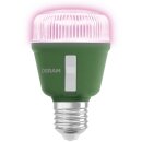 Osram LED Star Grow Lampe T60 10W E27 weiß/violett/blau klar 330lm Pflanzenlampe mit Schalter