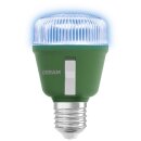 Osram LED Star Grow Lampe T60 10W E27 weiß/violett/blau klar 330lm Pflanzenlampe mit Schalter