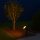 LED Leuchtmittel PAR38 Glas Reflektor IP65 15W = 75W E27 1100lm Gelb 90°