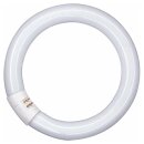 Leuchtstofflampe T9 Röhre Ringform 40W/830 G10q...