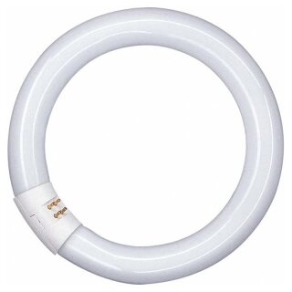 Leuchtstofflampe T9 Röhre Ringform 32W/830 G10q 2250lm warmweiß 3000K