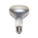 10 x Reflektor Glühbirne R80 60W E27 Glühlampe 60 Watt Glühbirnen Glühlampen