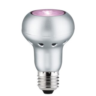 Paulmann LED Special Leuchtmittel R63 6W E27 230V 30° Rosé