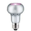 Paulmann LED Special Leuchtmittel R63 6W E27 230V 30° Rosé