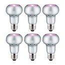 6 x Paulmann LED Special Leuchtmittel R63 6W E27 230V 30° Rosé