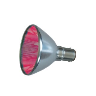 Philips Halogen Aluminium Reflektor R56 ROT 50W 12V 6° Spot 56mm BA15d