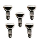 5 x Reflektor Glühbirne R63 60W E27 matt Glühlampe 60 Watt Glühbirnen Glühlampen Reflektoren