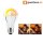 6 x Paulmann LED Premium AGL 11W = 60W E27 opal Warmdim warmweiß 2000K - 3000K DIMMBAR