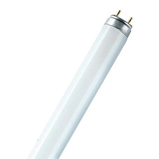 Osram T8 Leuchtstoffröhre 120cm Lumilux L 32W/840 ES G13 840 Cool White 4000K neutralweiß