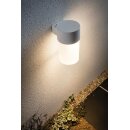 Paulmann Dekorglas für AmbientLED für Wandleuchte Pollerleuchte Satin