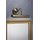 Paulmann Bilder- & Spiegelleuchte Wandlampe Galeria Canno Altmessing max. 2 x 25W E14 geeignet für LED