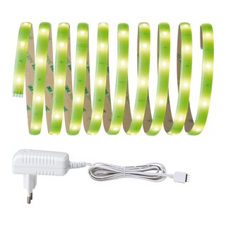 Paulmann LED Stripe Basisset YourLED 3m Neon Grün farbig beschichtet warmweiß