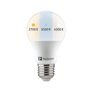Paulmann LED Leuchtmittel Birnenform CCT Whiteswitch 8,5W = 60W E27 matt warmweiß neutralweiß kaltweiß