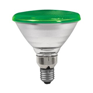 Paulmann PAR38 Reflektor Glühlampe 80W E27 Strahler Grün 30°