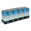 5 x Leuci Glühbirne 150W E27 MATT A67 Glühlampe...
