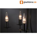 Paulmann Kerze Greco klar 25W E14 Glühbirne Glühlampe 25 Watt 563.29