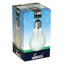10 x Leuci Glühbirne 100W E27 MATT Glühlampe 100 Watt Glühbirnen Glühlampen