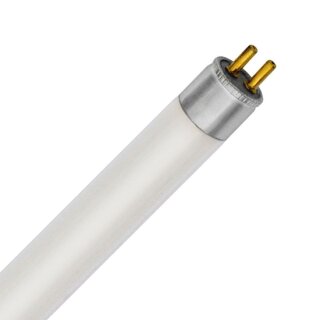 T49851gp clearance