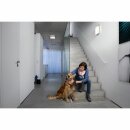 Osram LED Wand- & Deckenleuchte Lunive Arc 8W 27cm 830 Warmweiß 3000K mit Glasabdeckung Bogen
